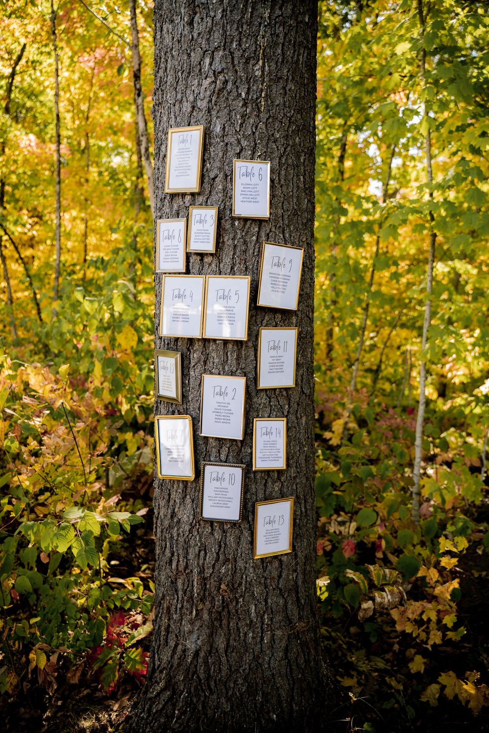 Wedding seating cards displayed on tree trunk with autumn foliage in background.