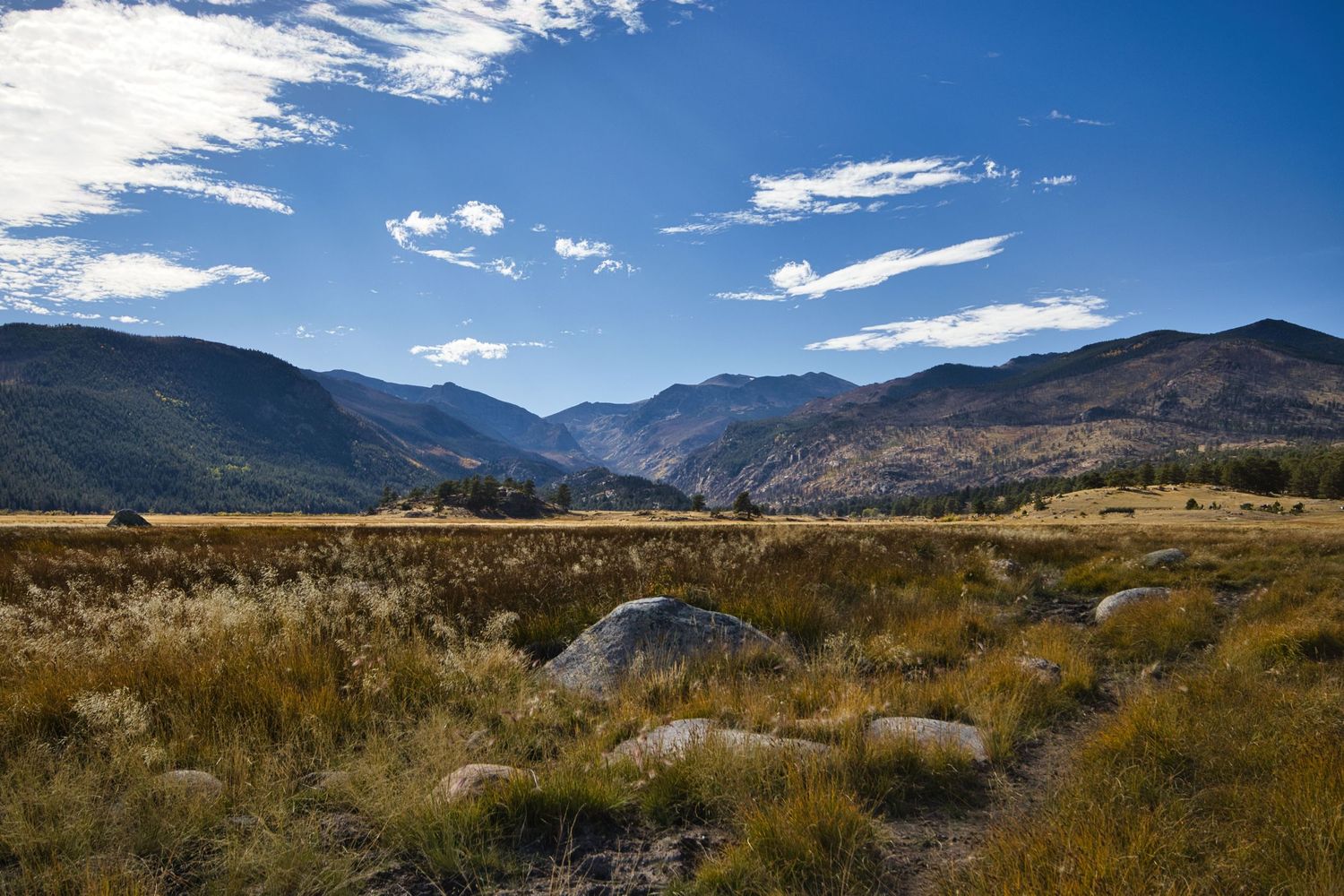 Moraine Park in Rocky Mountain National Park. Pixcapades | The Rocky Mountain Proposal Photographer