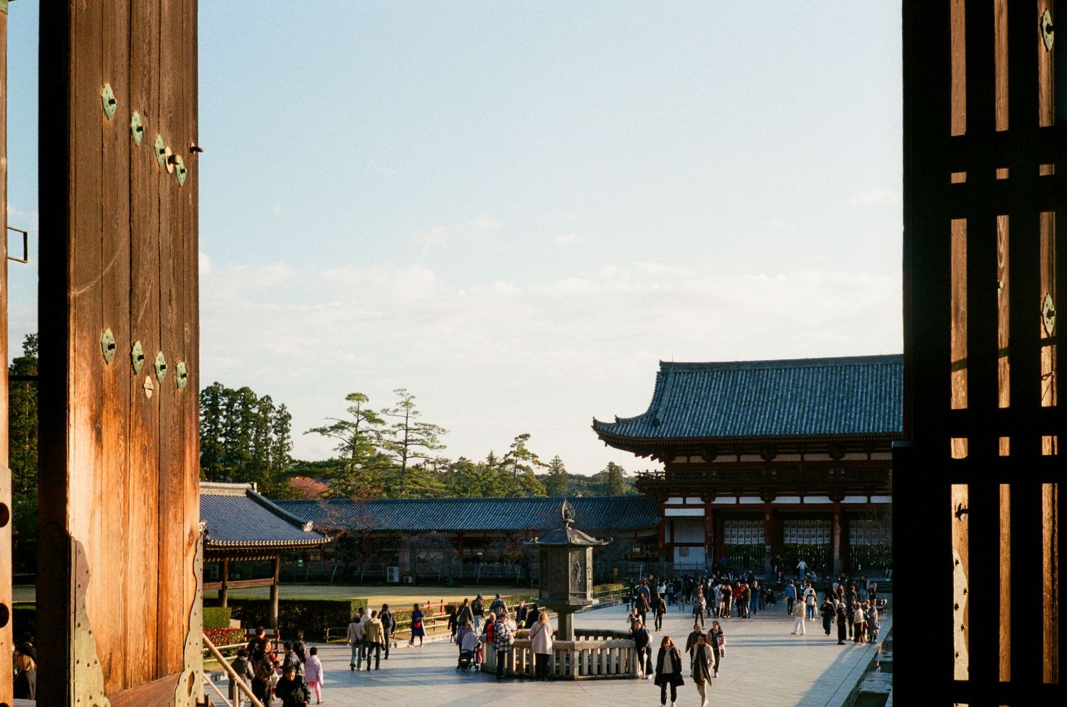 Ancient Japanese temple lanterns made of bronze stand in a row at a historic Buddhist shrine.