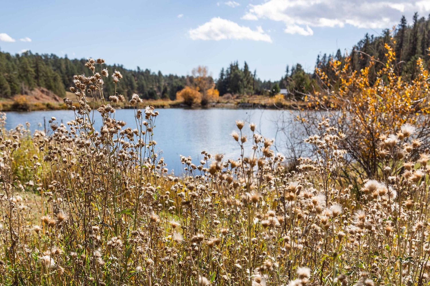 A scenic panoramic view of a lake surrounded by rolling hills and forest under a bright blue sky with white clouds.