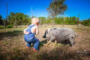 A series of photos showing a small child in denim overalls exploring and interacting with nature in a sunny outdoor setting.
