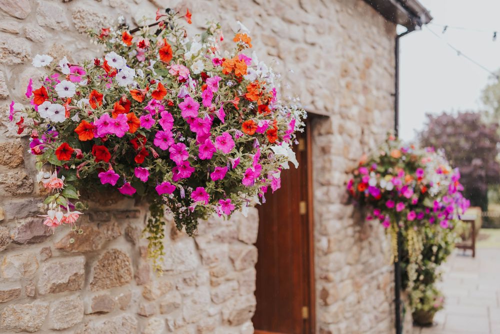 Vibrant hanging flower baskets with pink and red petunias adorn a rustic stone wall with wooden doors.