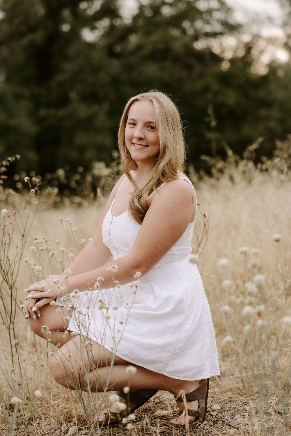 A series of outdoor portrait shots in a golden field with wildflowers at sunset.