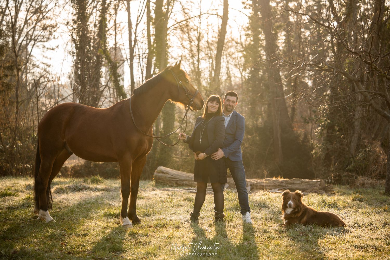 Séance photo grossesse cheval chien Alsace
