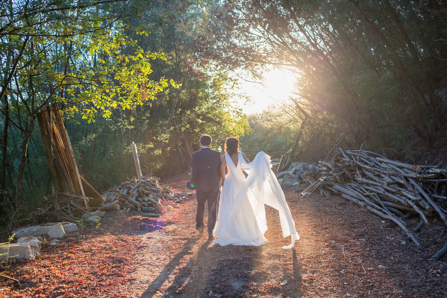 noivos de costas a caminhar em direção ao sol num caminho com arvores no chão o vestido da noiva esvoaça