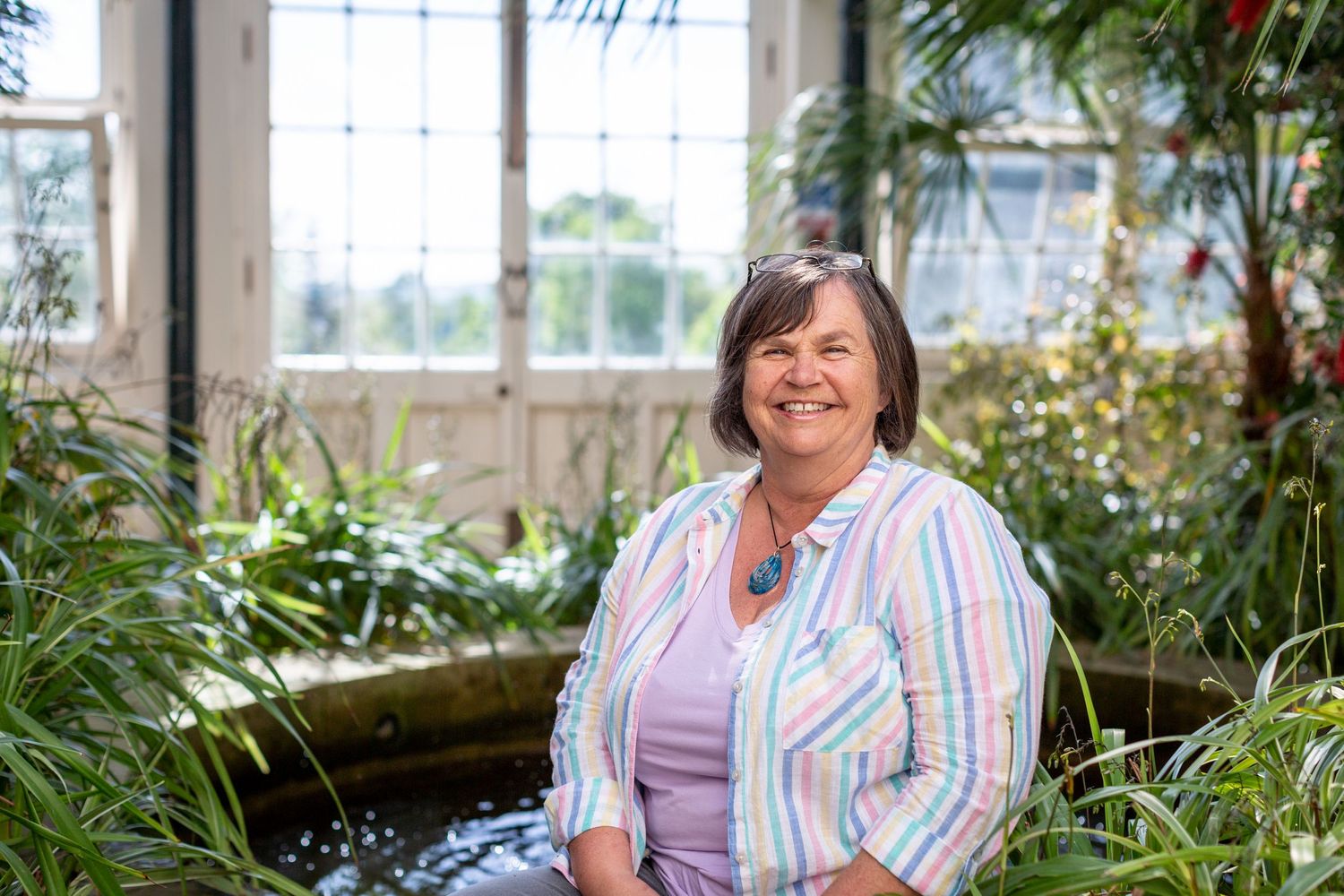 A welcoming scene in a bright conservatory filled with lush green plants.