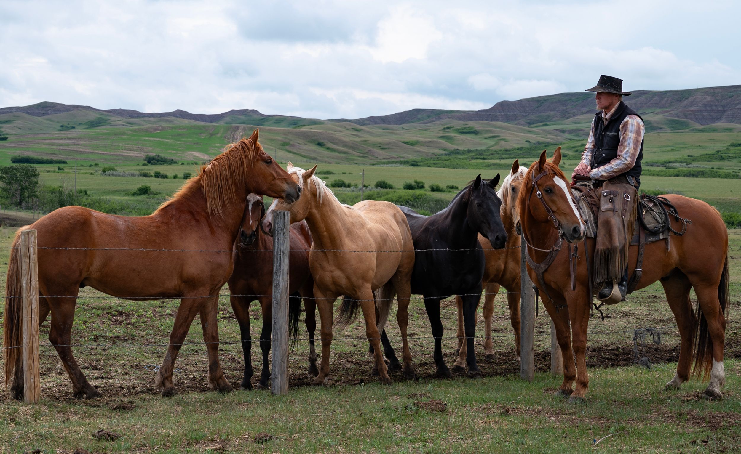 A man is atop of his horse as he watches the heard of horses gathered close to him. The rolling hills and the blue skies are behind them.