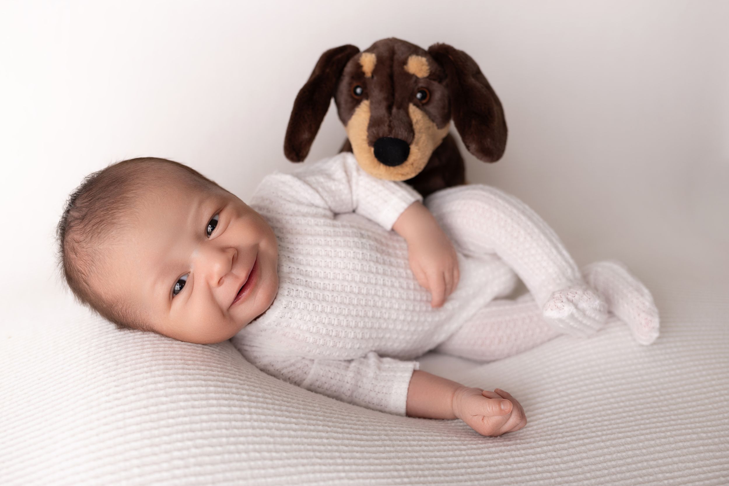 Baby in white sweater lies on cushion with small brown dachshund puppy. NJ newborn photographer in Sussex County NJ