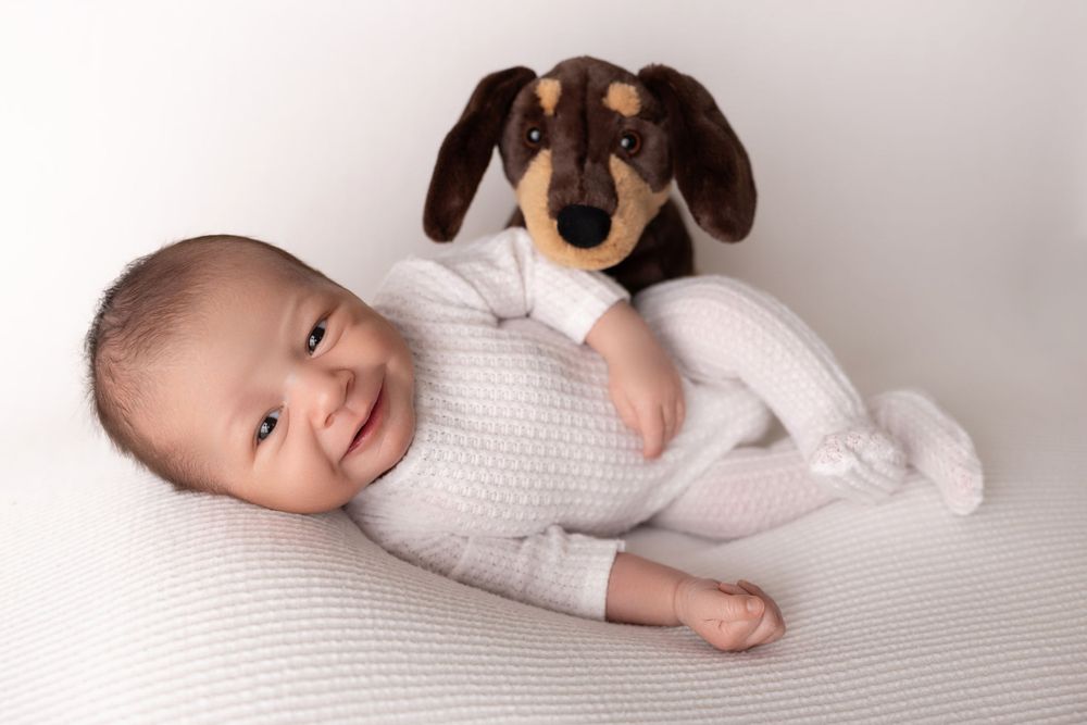 Baby in white sweater lies on cushion with small brown dachshund puppy. NJ newborn photographer in Sussex County NJ