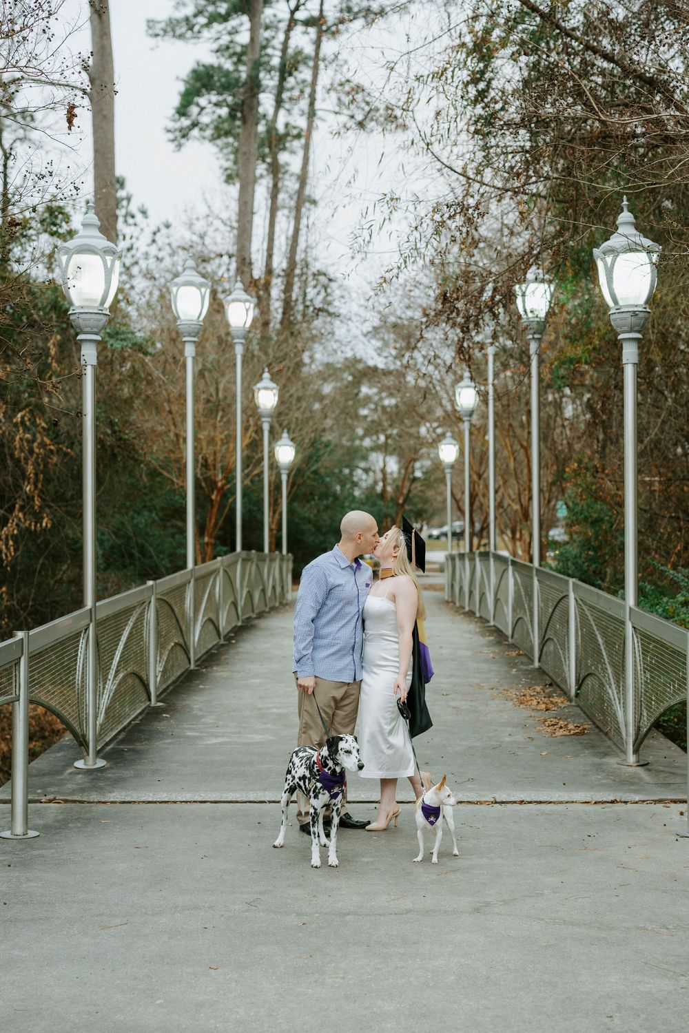 Three similar views of a romantic couple walking their dogs along a tree-lined pathway with vintage-style lampposts.