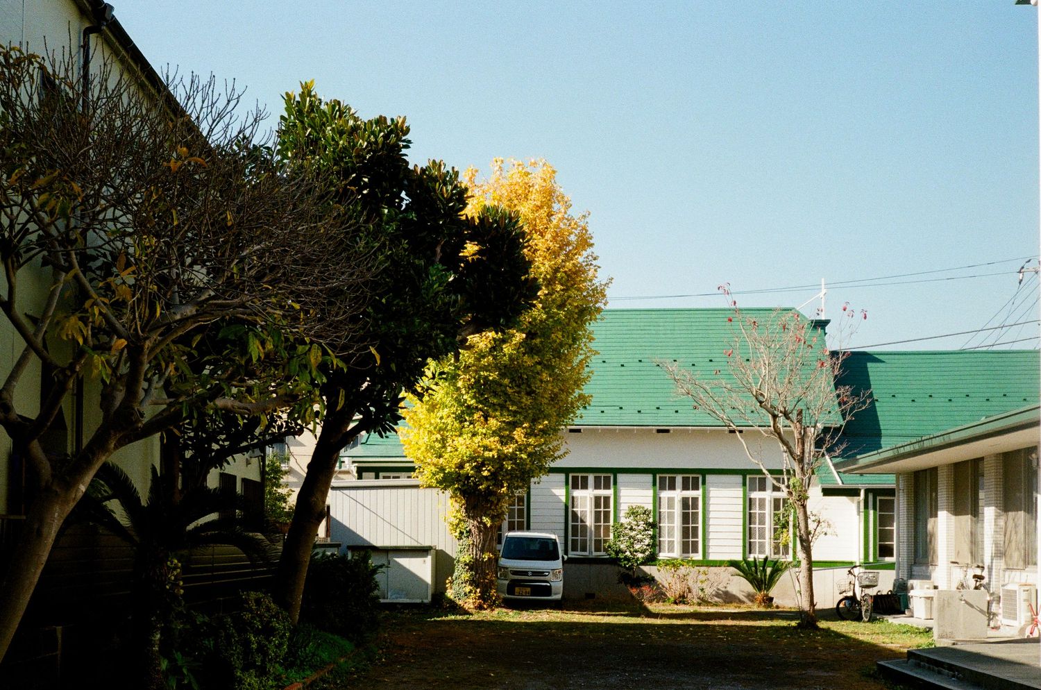 Single-story house with green roof and yellow autumn tree in the yard on a sunny day.