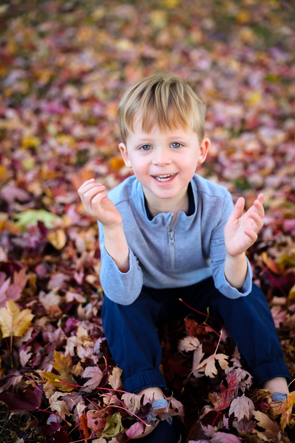 Child playing in colorful autumn leaves wearing blue jacket.