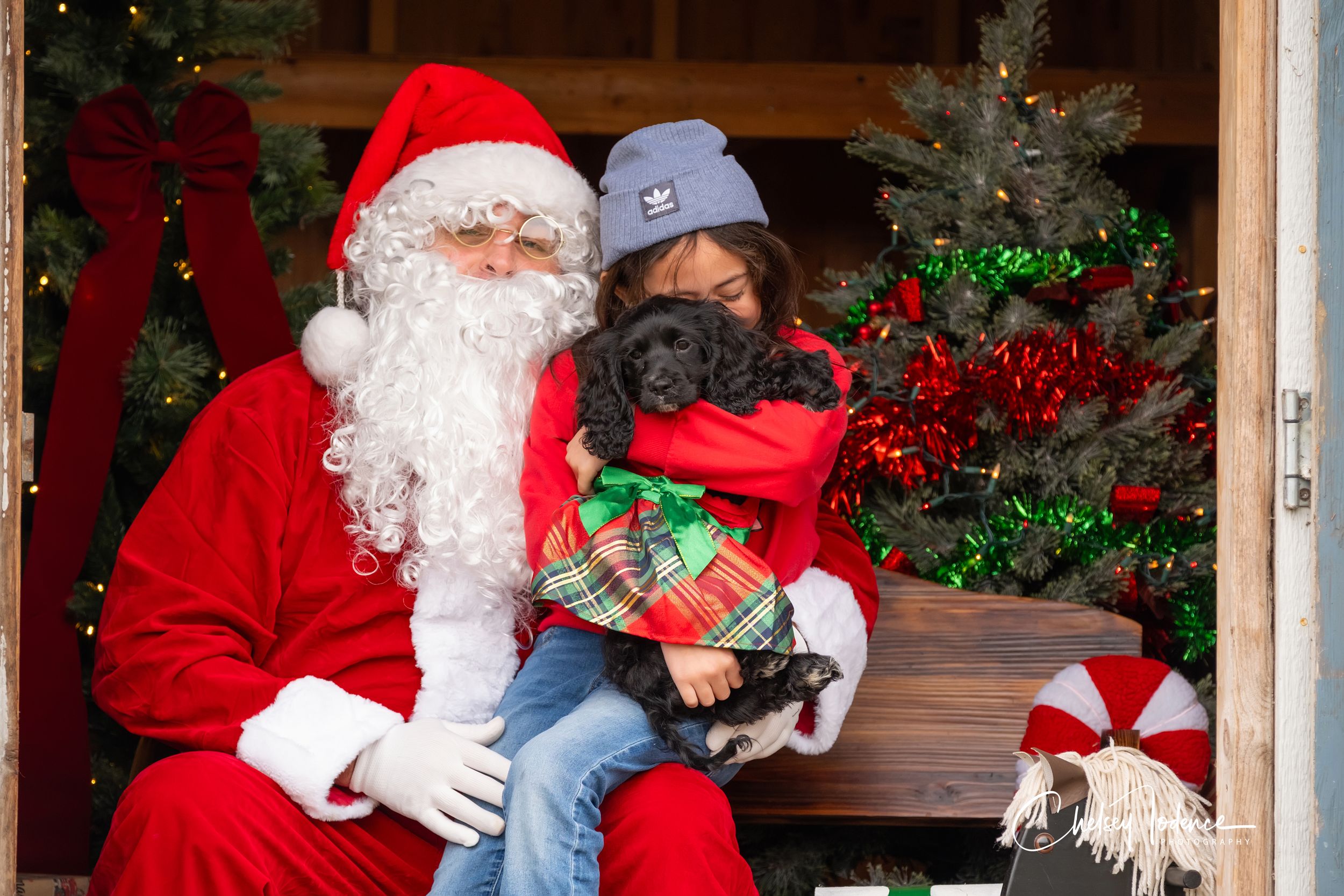 Santa Claus with a child holding a dog during a Christmas photo session in Petaluma, Sonoma County