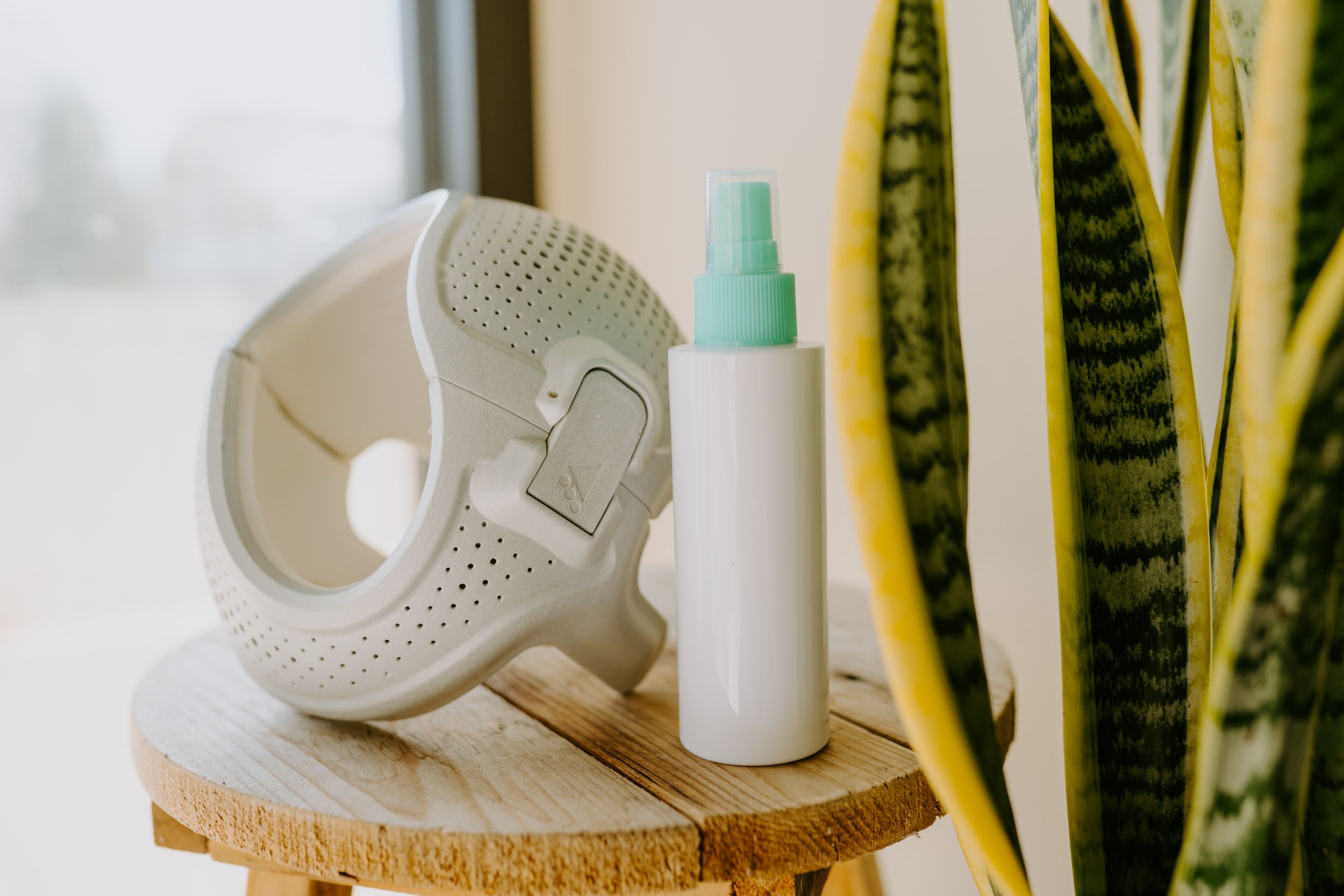 White perforated helmet and spray bottle displayed on wooden surface next to snake plant.