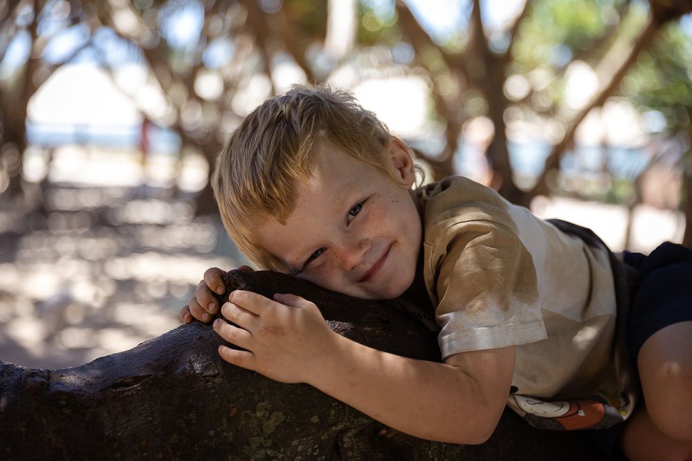 little boy laying on a pandanus tree branch at the beach