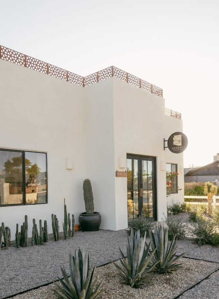 Modern desert landscaping with tall cacti and agave plants against white stucco walls in a minimalist courtyard design.