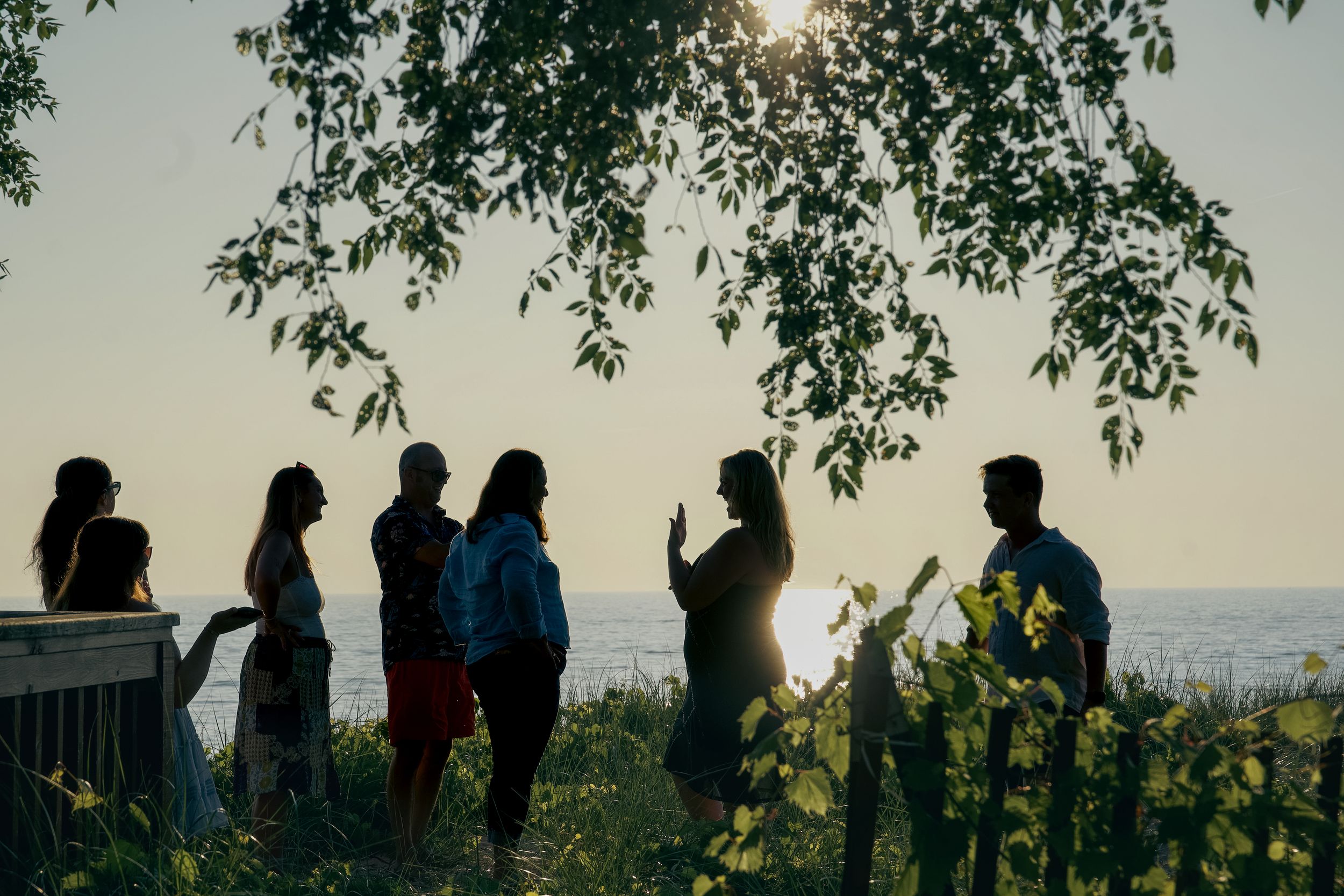Silhouettes of people standing on a hill against a sunset sky with tree branches framing the scene.