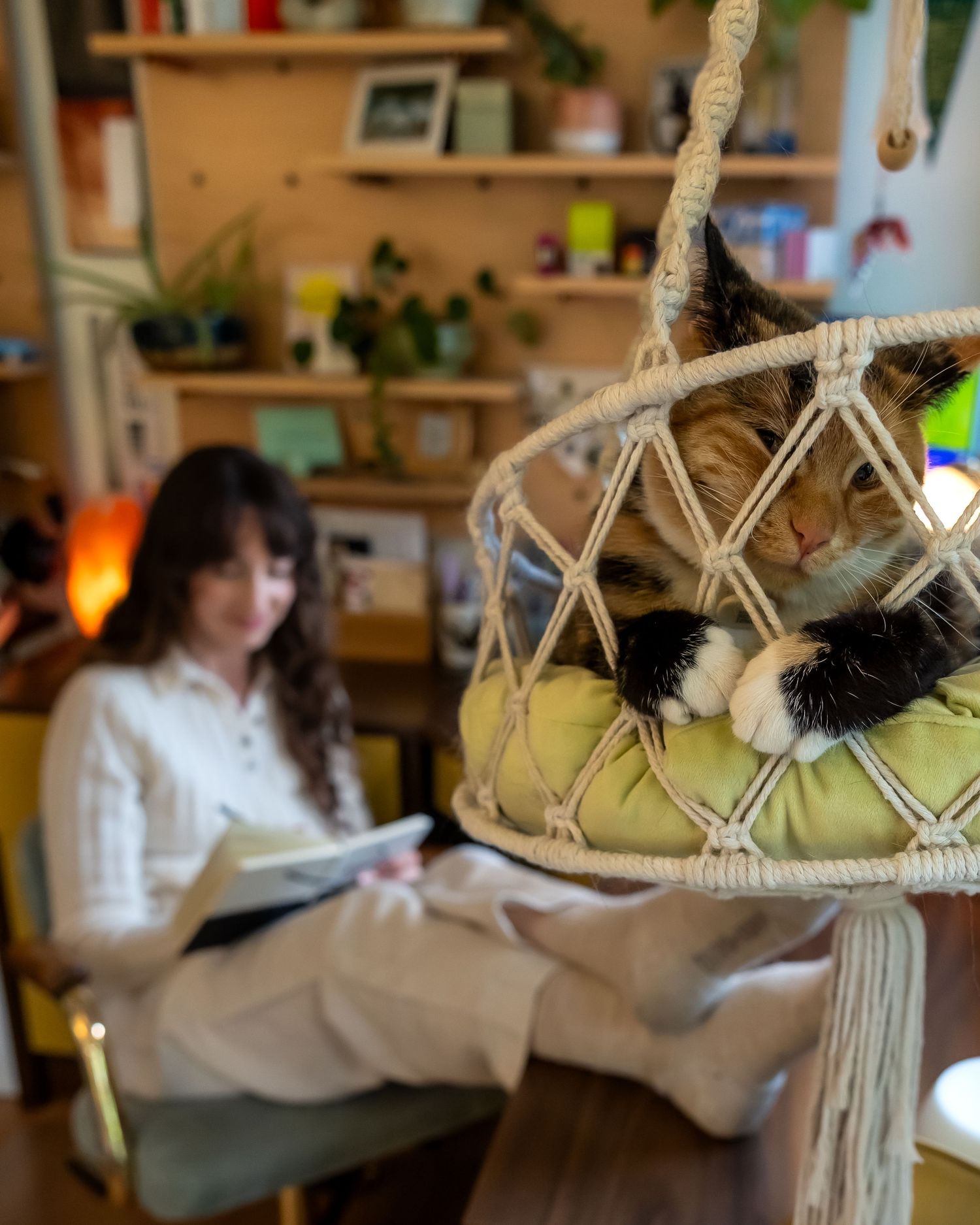 Macrame plant hangers with potted greenery decorate a wooden shelf-lined workspace.