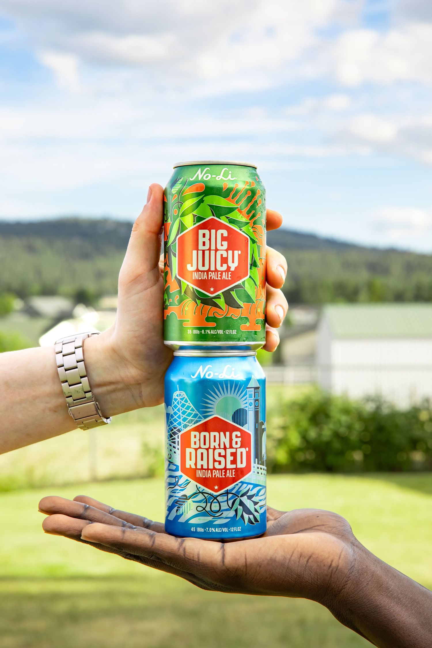Various colorful craft beer cans displayed against a scenic mountain landscape background.