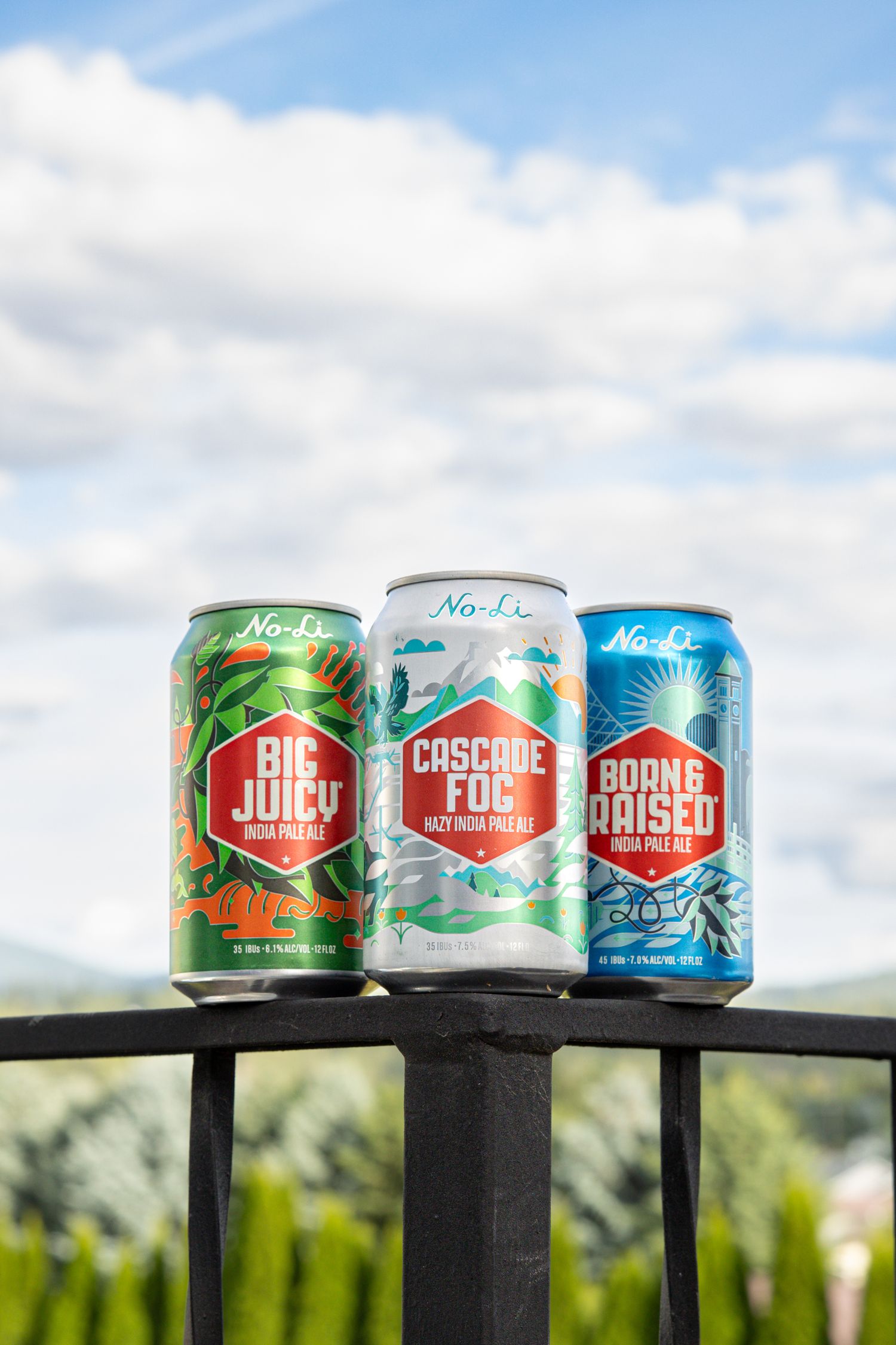 Six colorful craft beer cans from various breweries lined up on a black railing against a cloudy sky backdrop.