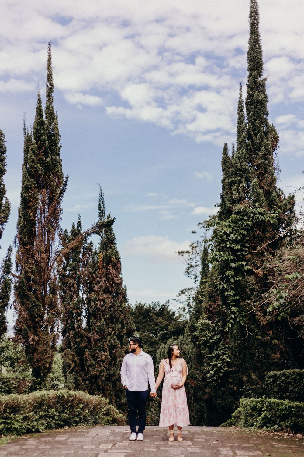 Couple stands on path surrounded by tall cypress trees and blue sky.