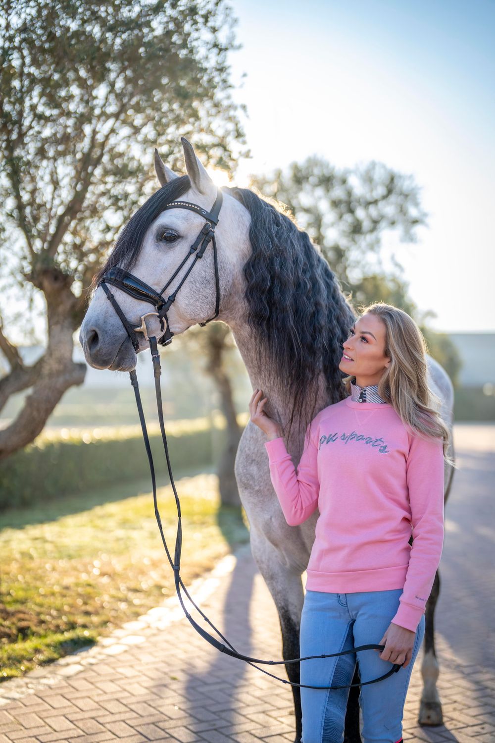 A beautiful white horse with a dark mane stands with someone wearing a pink sweater in sunlit scenery.