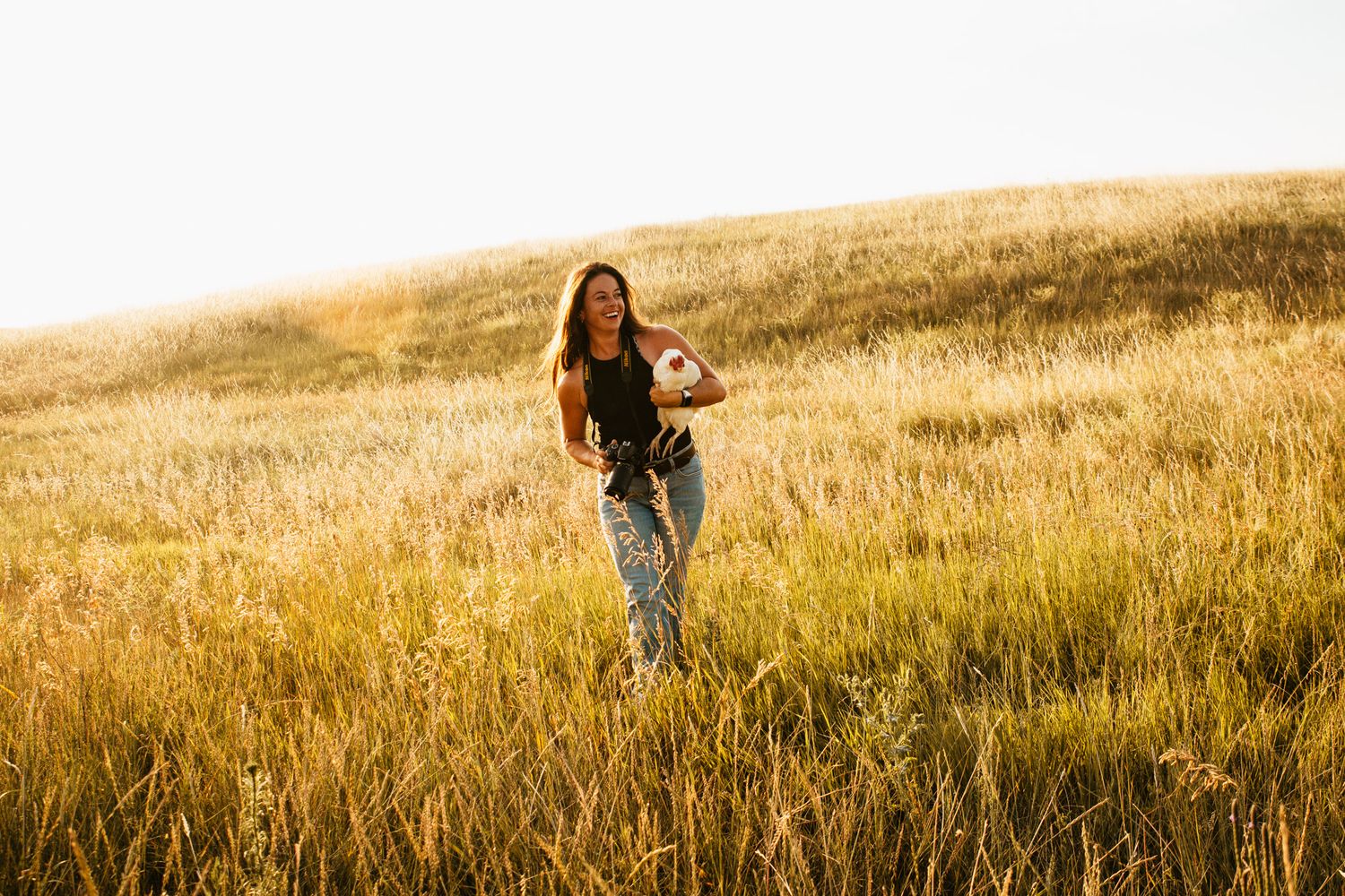Woman walking through tall golden grass field at sunset holding small dog.