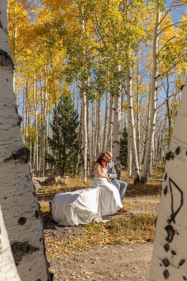 intimate elopement in Pando among aspen