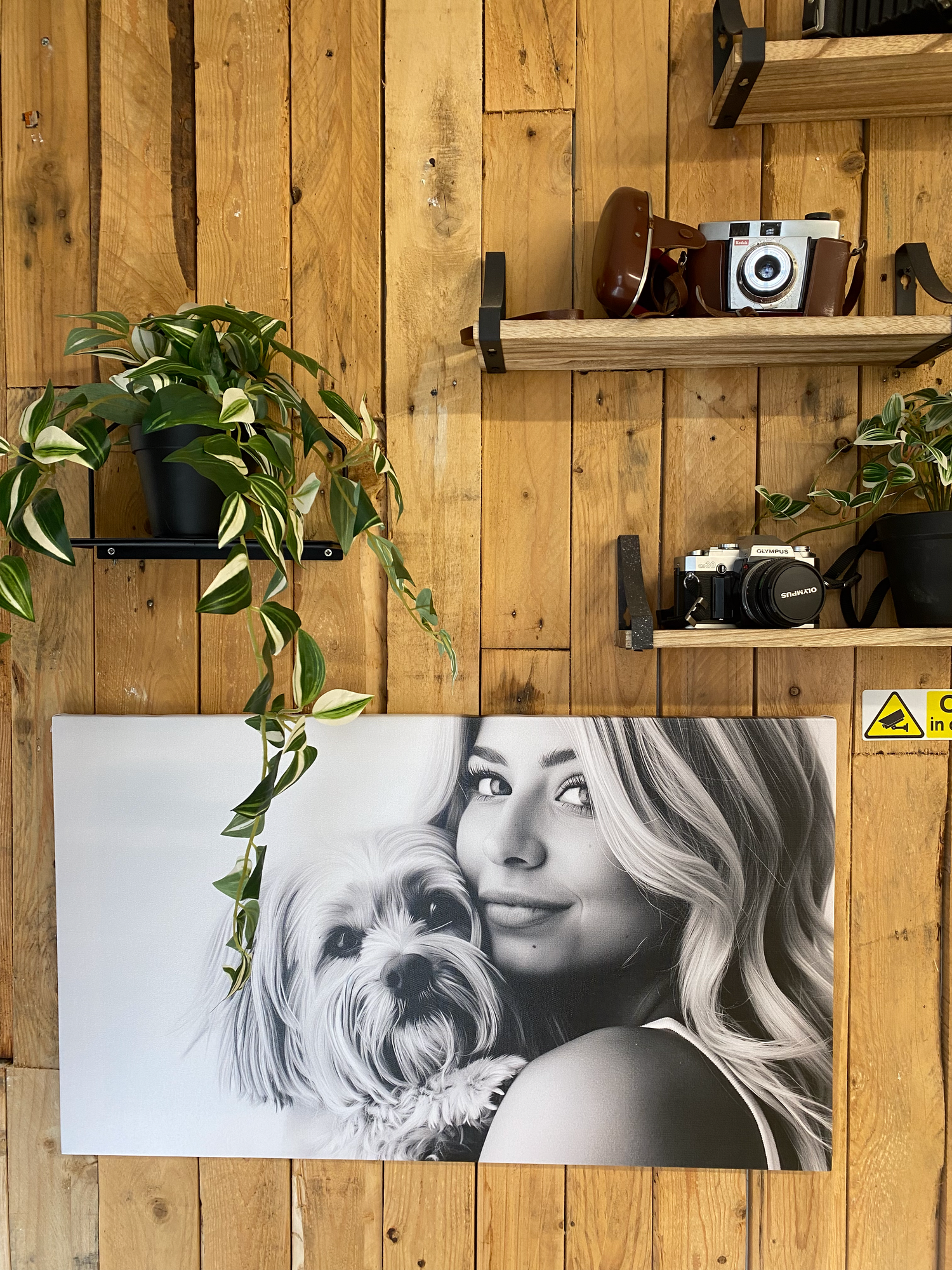 A vintage-style black and white photograph displayed on a wood-paneled wall with plants and vintage cameras on shelves above.