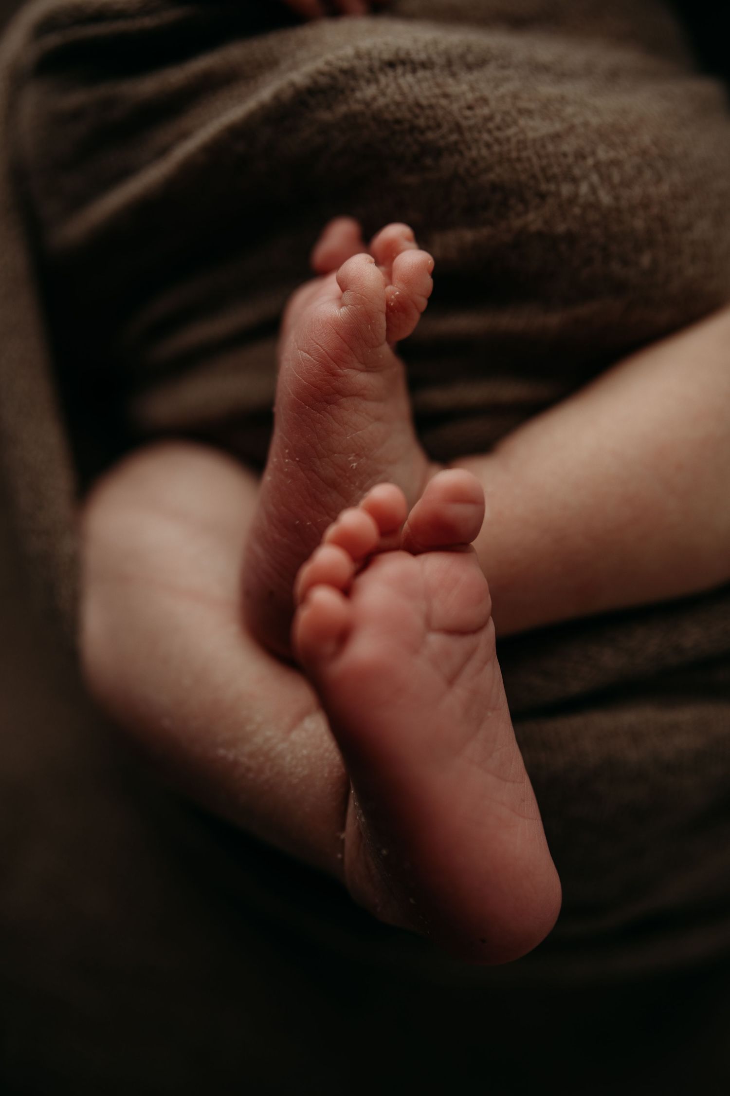 Close-up shots of tiny newborn baby feet against a dark background in a series of artistic photographs.