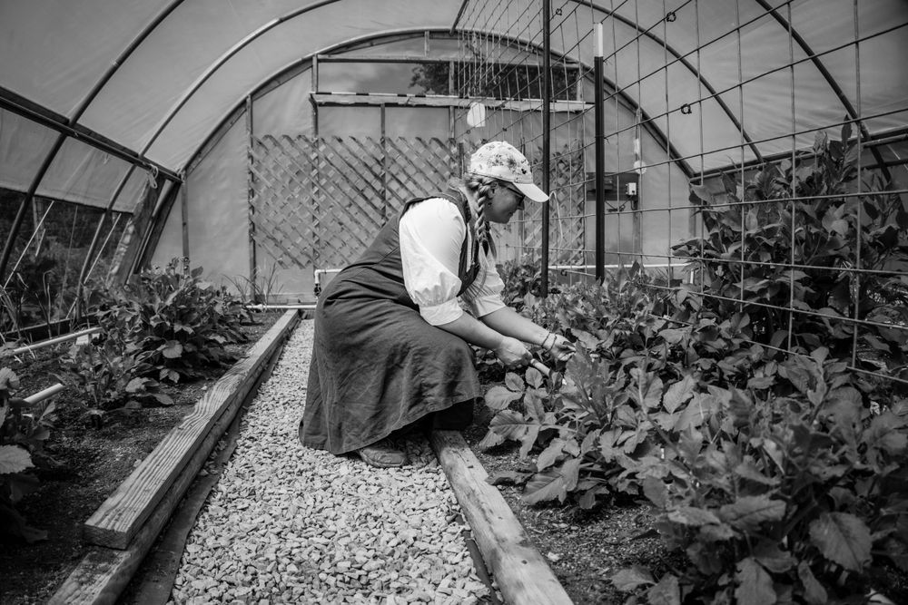 A gardener in traditional dress tends to plants inside a greenhouse with a gravel path and lattice background.