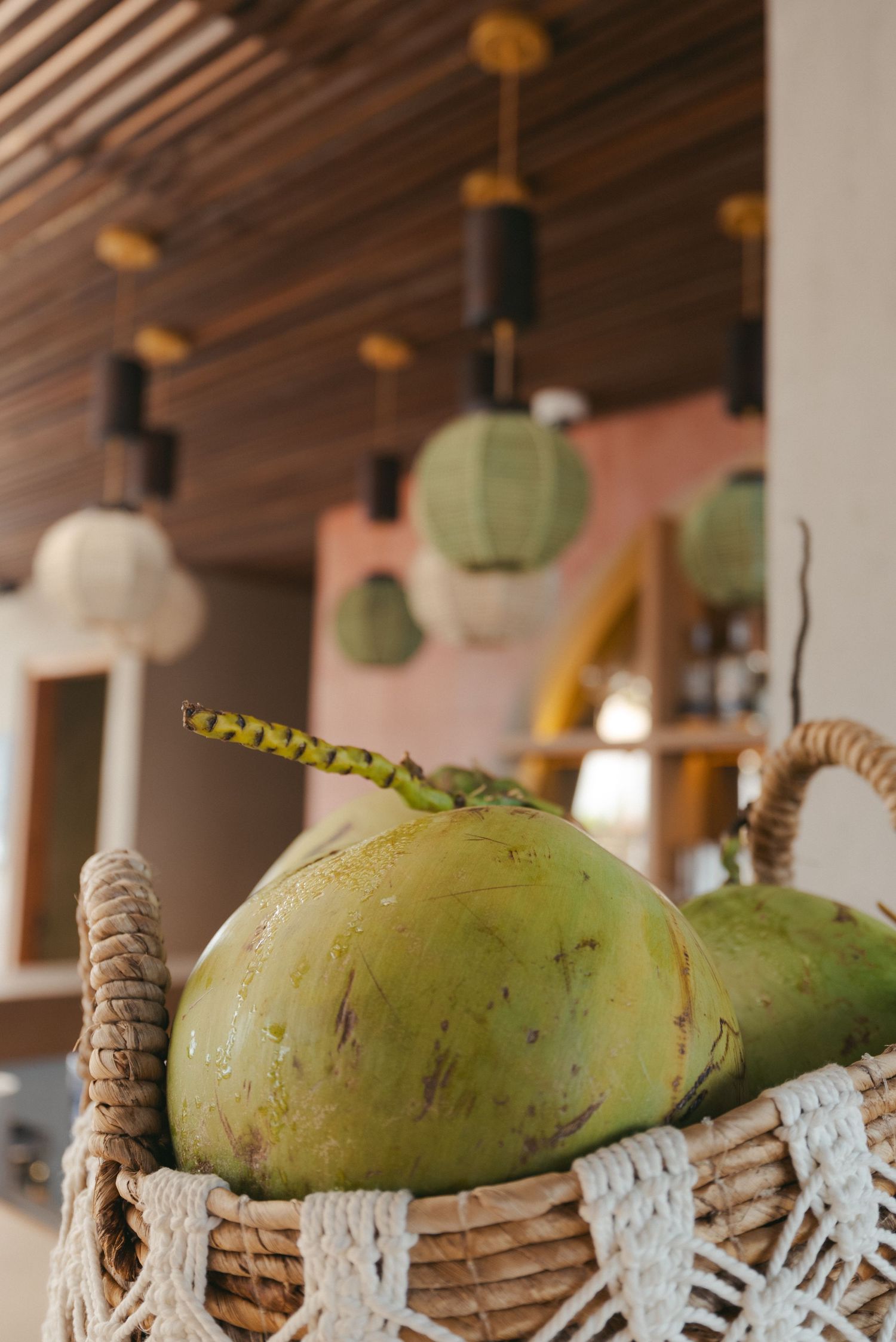 Green tender coconuts arranged in a row on woven basket display at a restaurant or cafe.