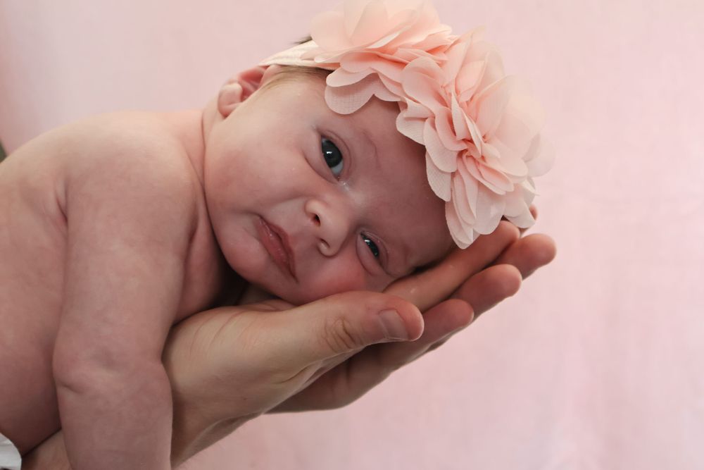 Newborn / Fresh 48