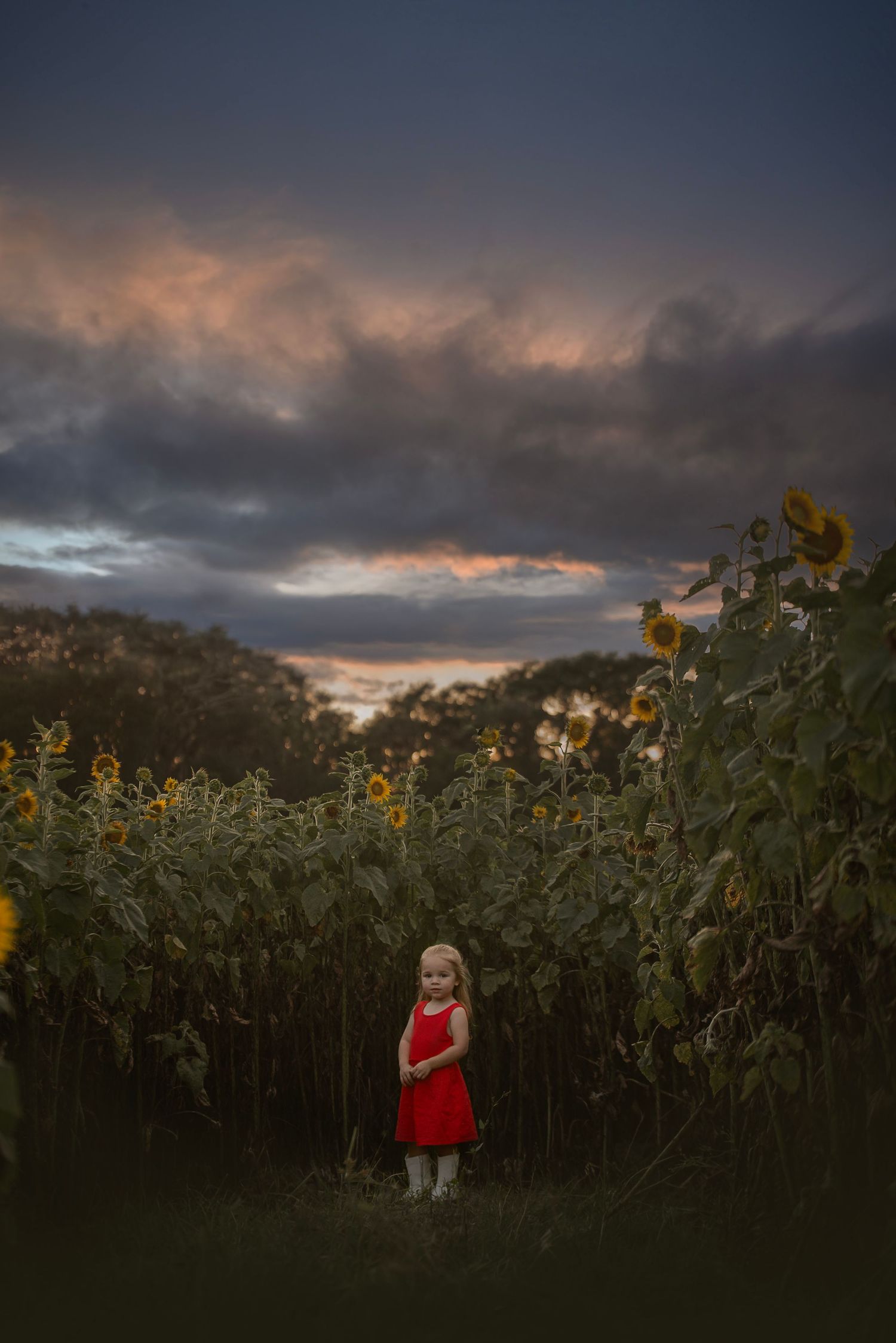 Citrus County, FL Children Photographer