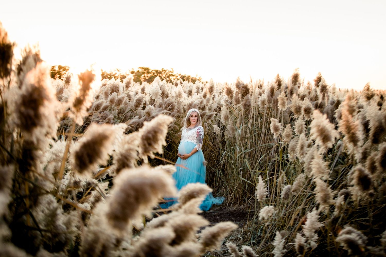 Maternity session woman in light blue dress stands among tall pampas grass at golden sunset. Salt Lake City, Utah.