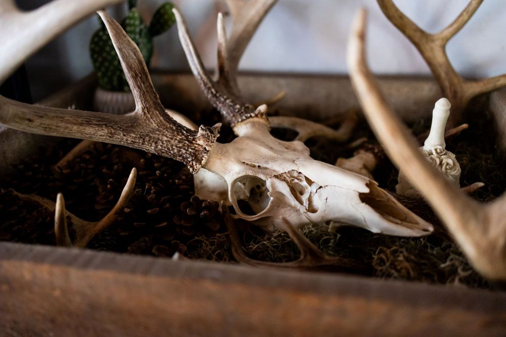 rustic wedding