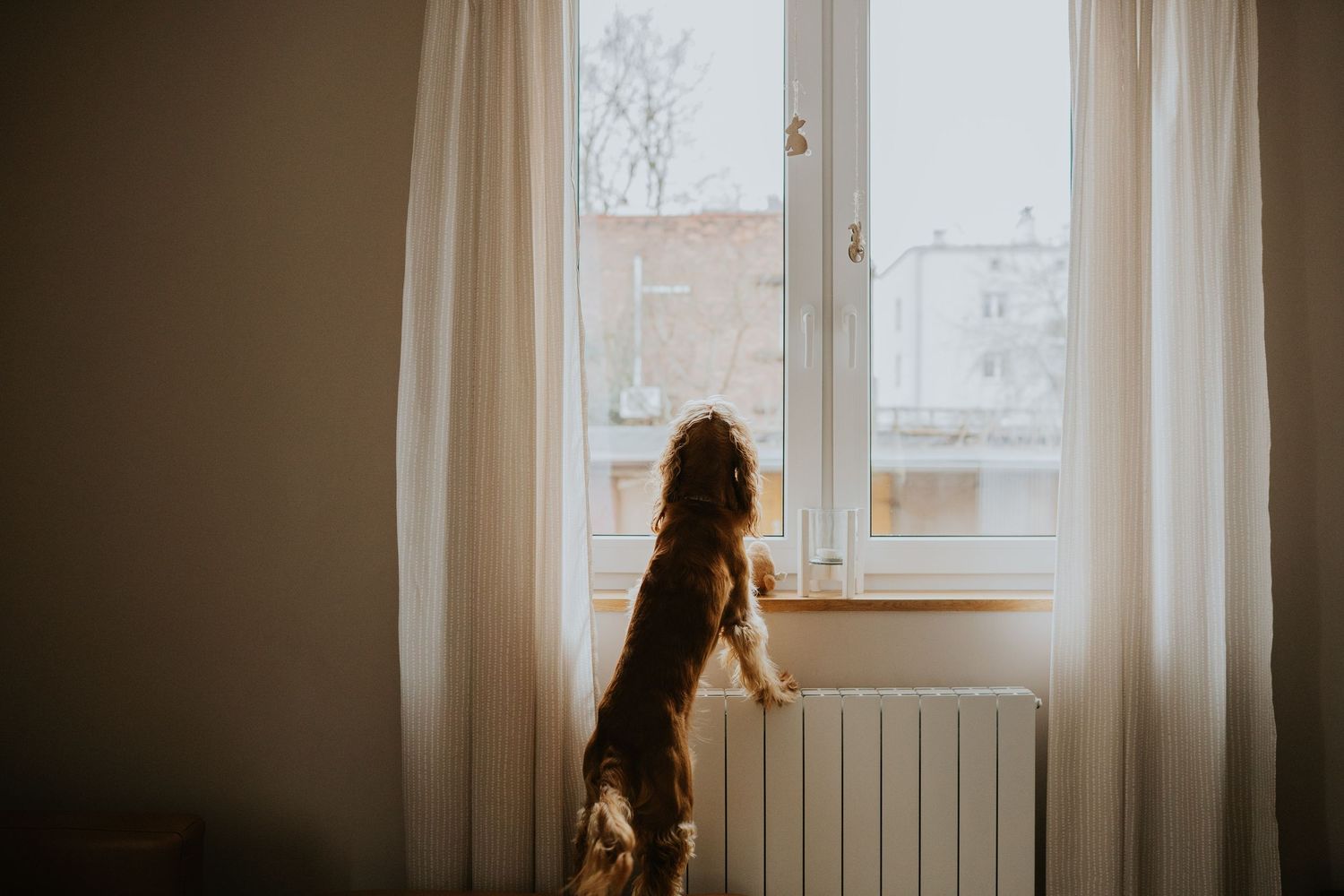 Sesja noworodkowa Katowice domowe zdjęcia noworodkowe sesją niemowlęca Śląsk fotograf rodzinny Katowice sesja w domu sesja rodzinna Śląsk