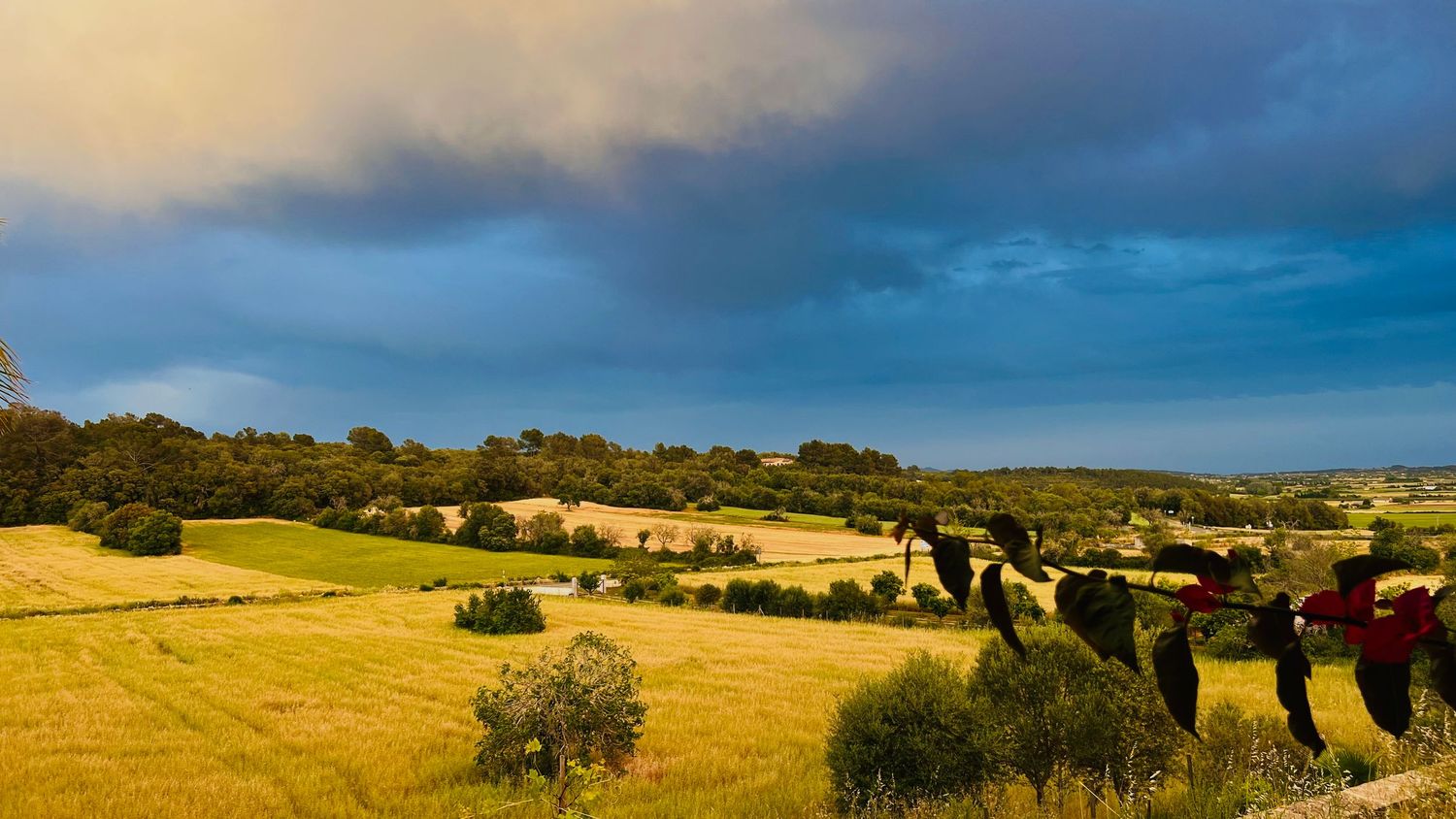 Rolling green hills and meadows stretch across a panoramic landscape under a dramatic cloudy sky at sunset.
