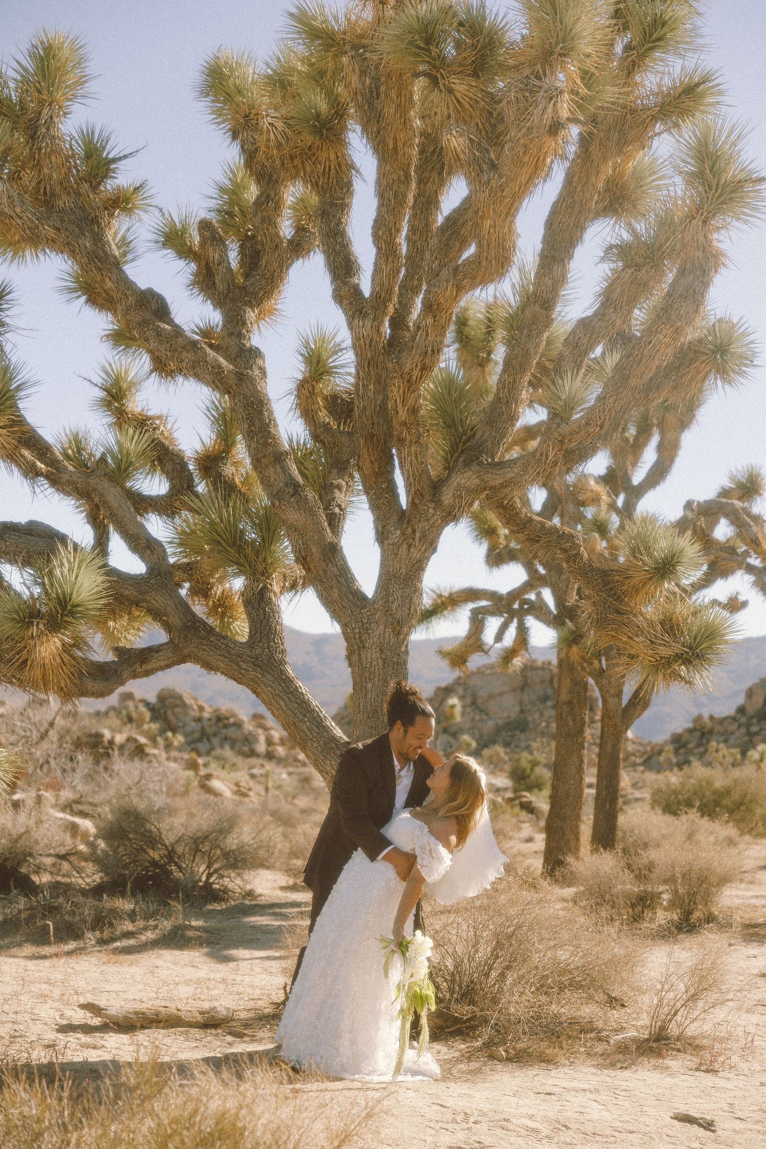 A couple shares a romantic moment beneath a towering Joshua tree in a desert landscape during golden hour.