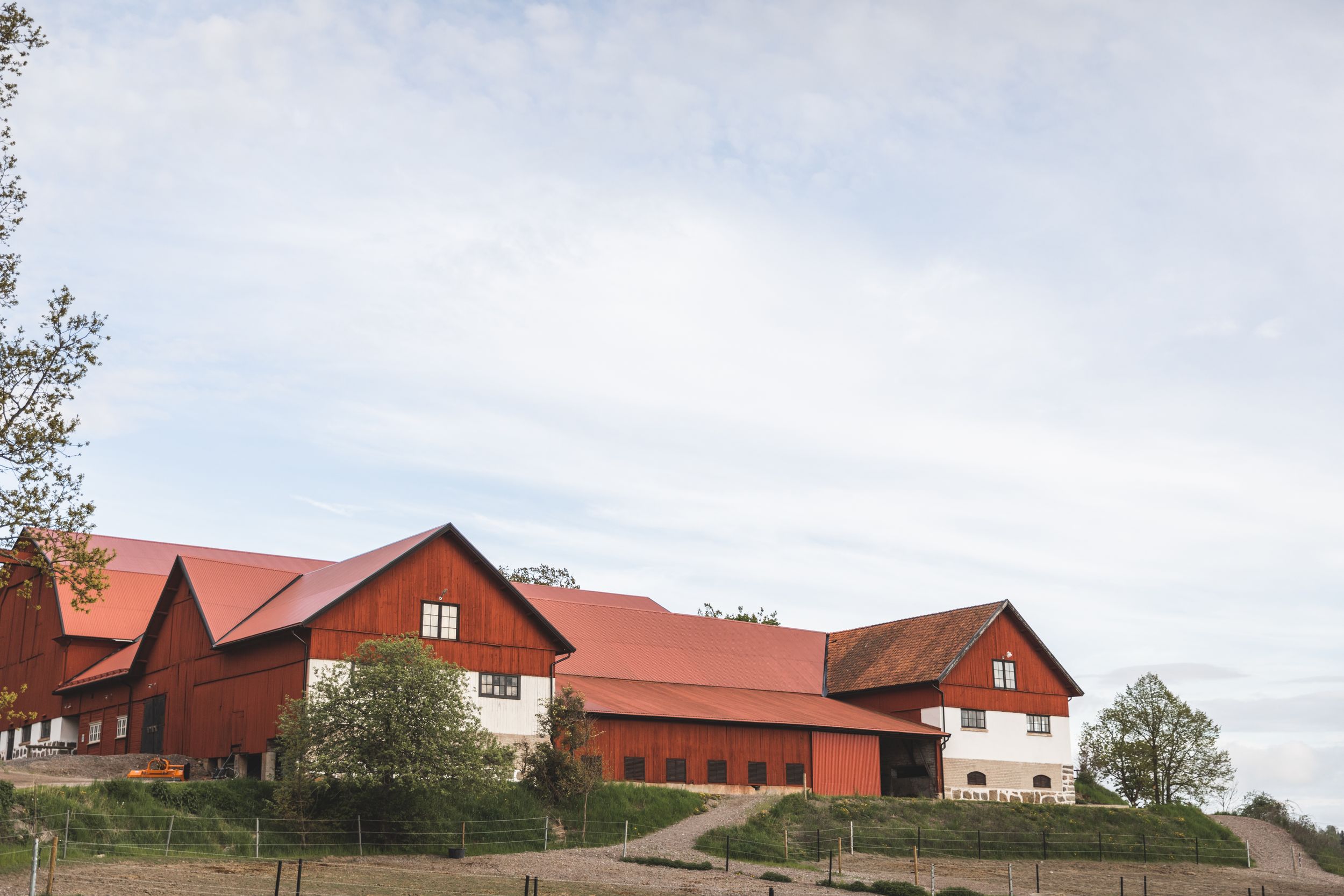 Hästgård. Hästfotograf. Stockholm. Photo By Anna Jarlhall.