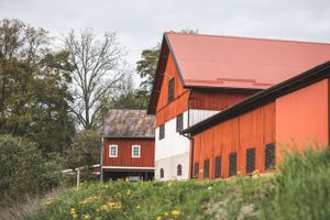 Hästgård. Hästfotograf. Stockholm. Photo By Anna Jarlhall.