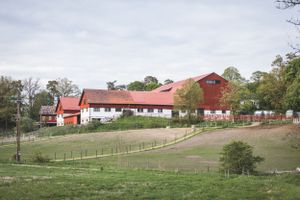 Vy över gård. Hästgård. Hästfotograf. Stockholm. Photo By Anna Jarlhall.