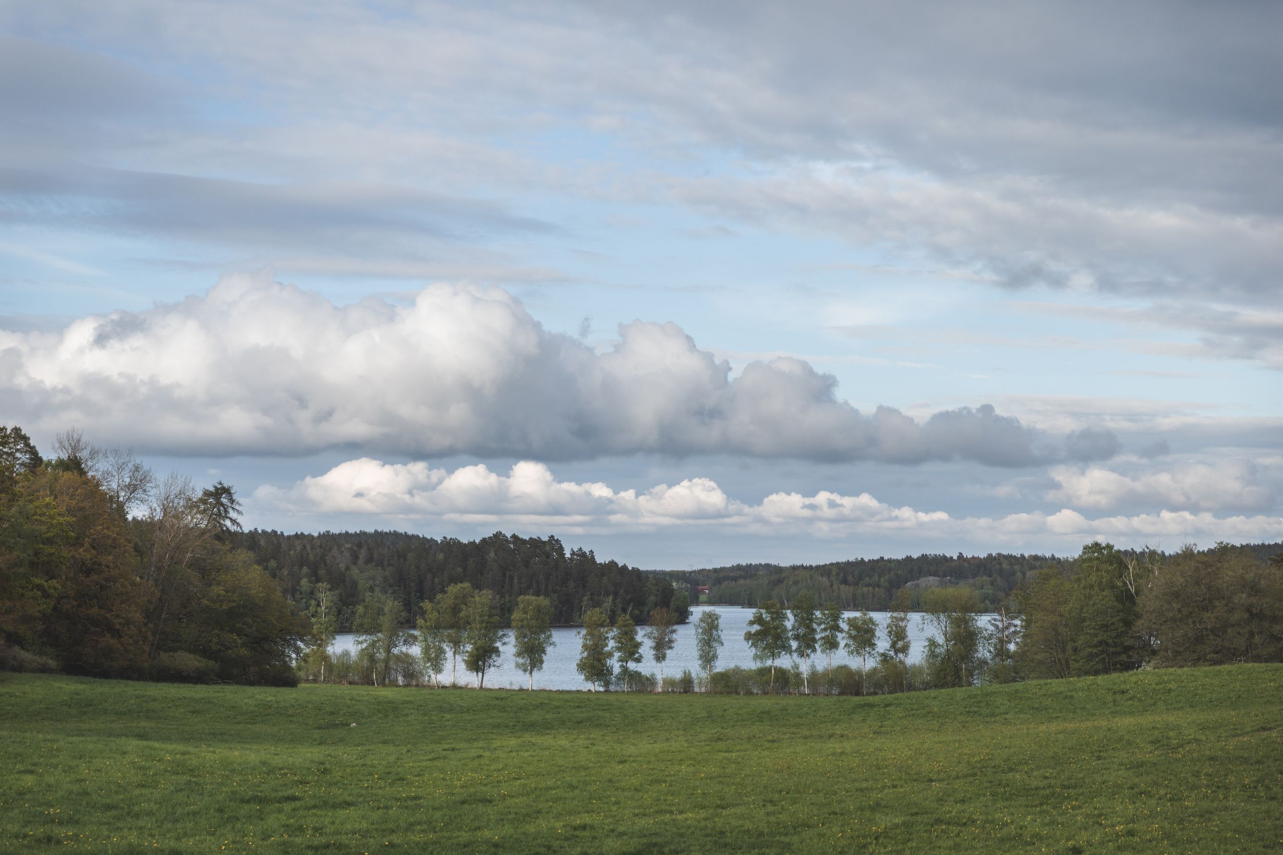 Vy över hage. Hästgård. Hästfotograf. Stockholm. Photo By Anna Jarlhall.