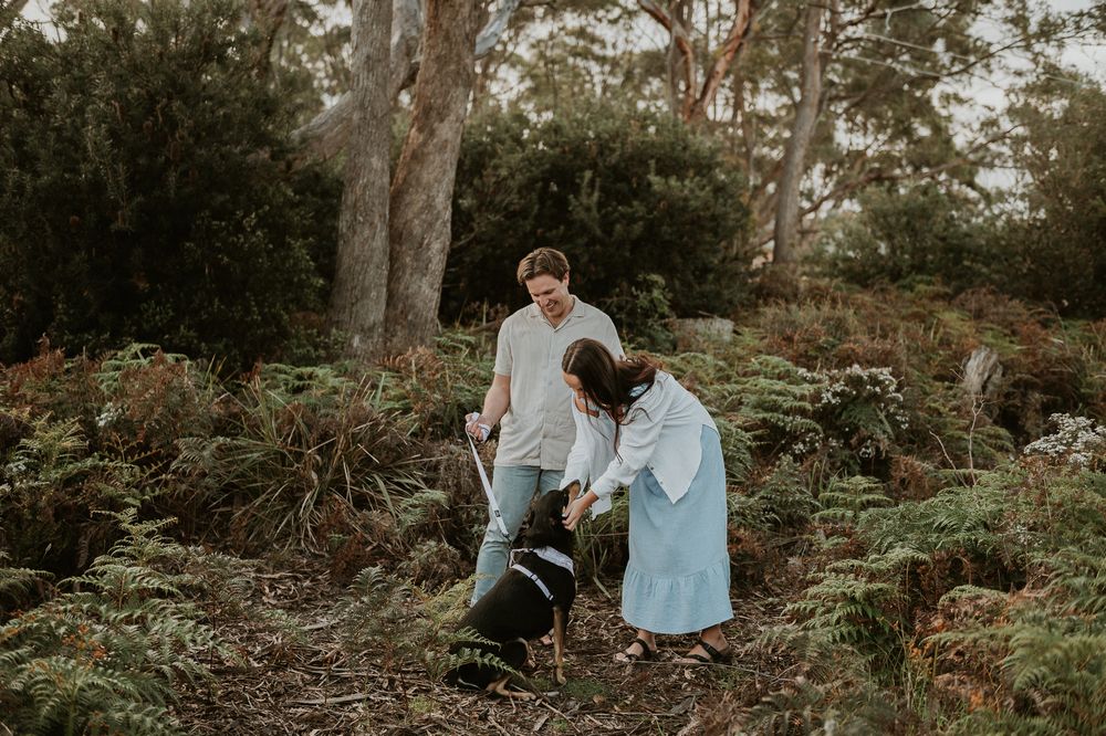 Couples session with their dog at Big Roaring Beach in Southern Tasmania, captured by elopement and family photographer Joss Jensen