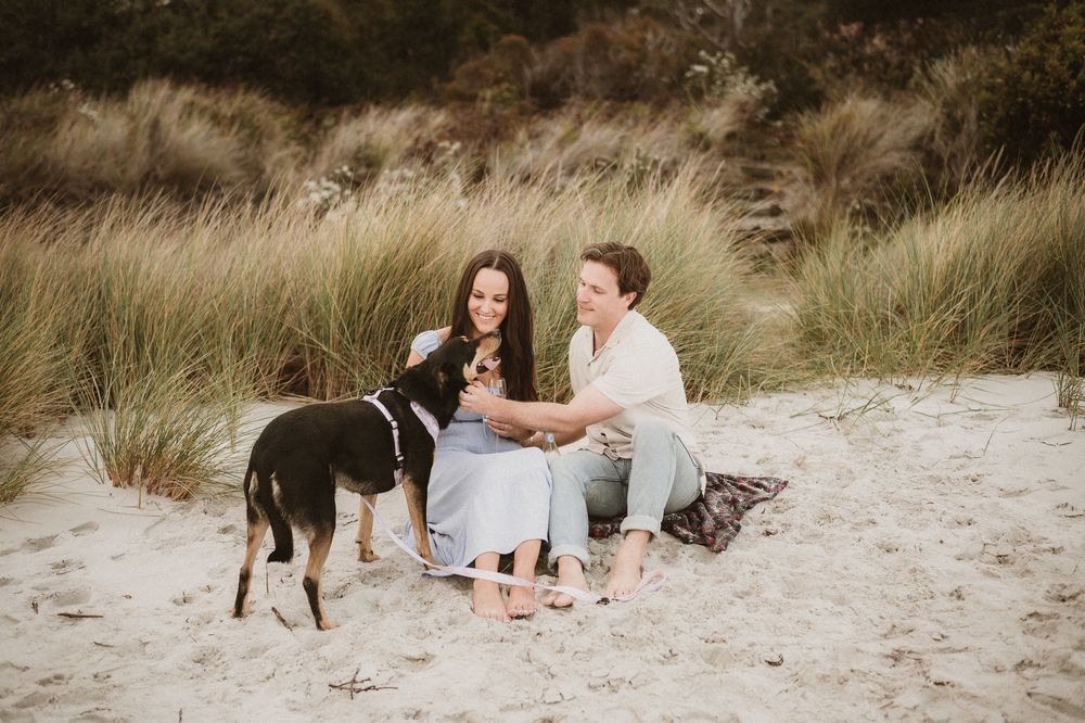 Couples session with their dog at Big Roaring Beach in Southern Tasmania, captured by elopement and family photographer Joss Jensen
