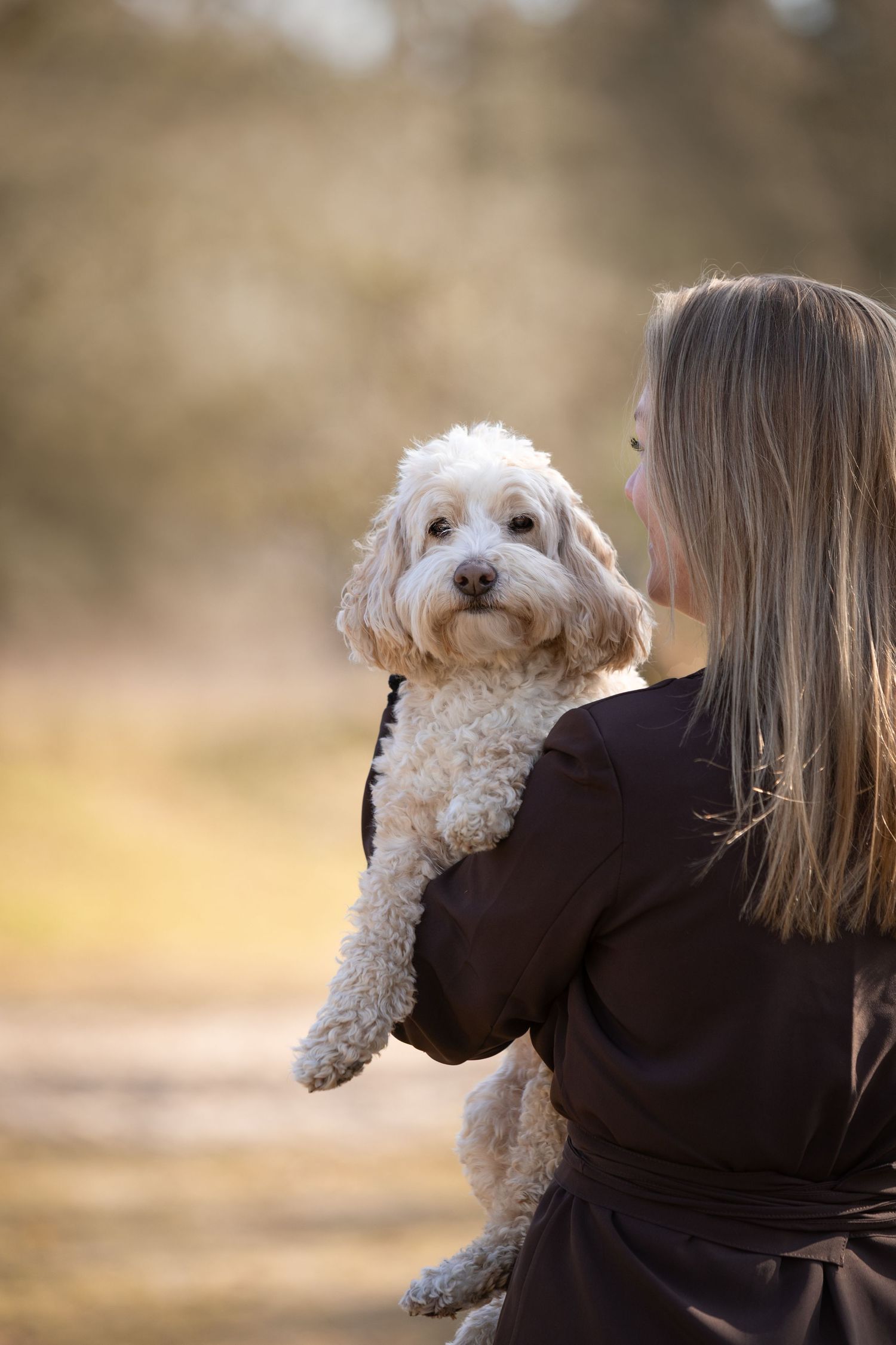 Hondenfotografie, dierenliefde, natuur, heide, bos, Baas&hond