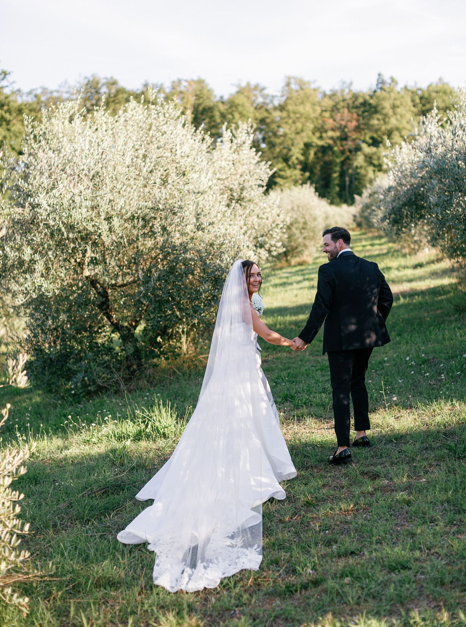A couple in wedding attire walks through a sunlit olive grove on their special day.