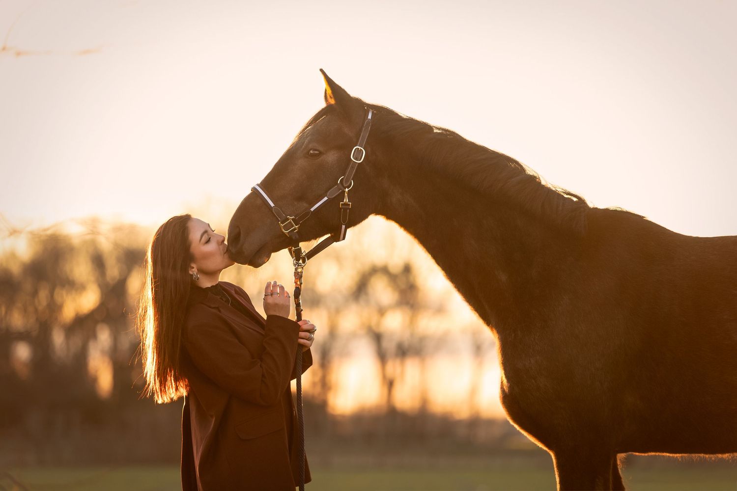 Horse and handler sharing a tender moment at sunset in golden light.
