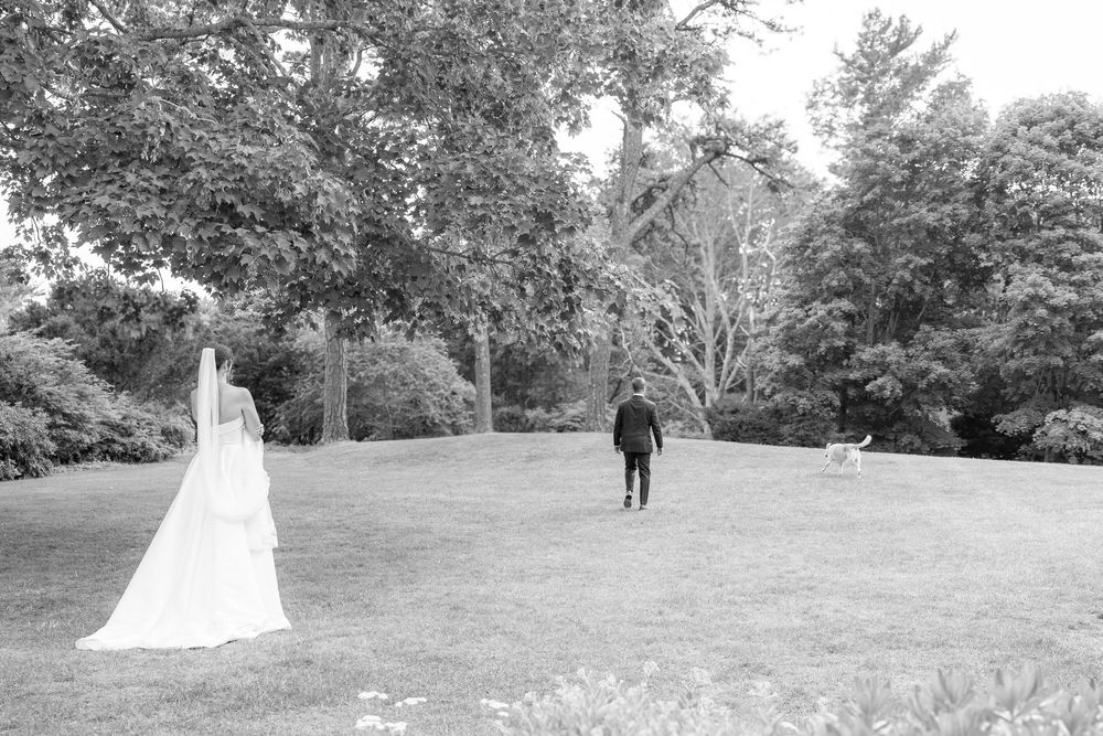 Black and white photo of a bride and groom walking apart on a lush green lawn surrounded by tall trees.