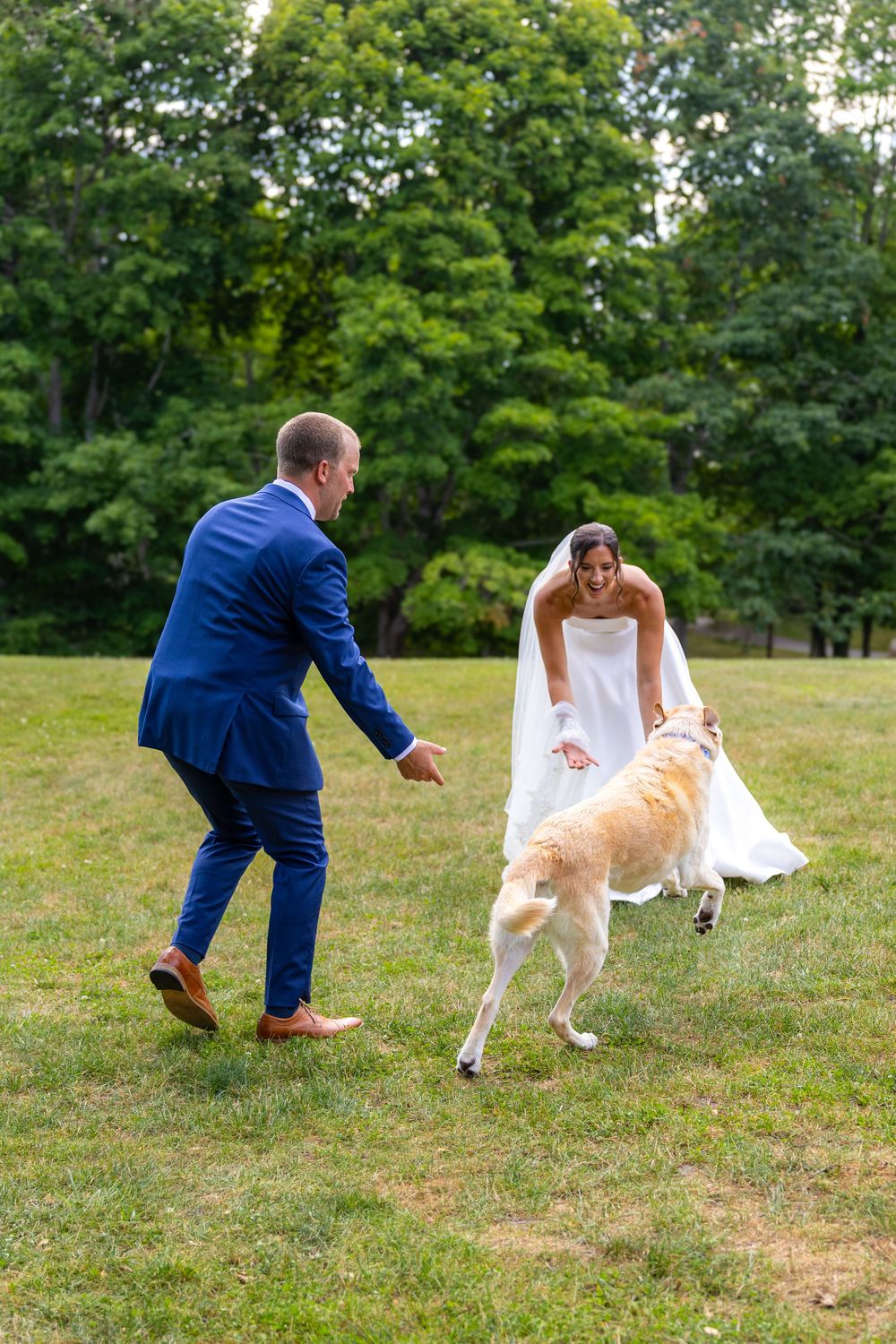 Bride and groom playing with golden retriever dog on green lawn at outdoor wedding celebration.